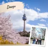 Daegu