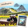 นอกเมืองปูซาน