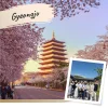 Gyeongju