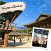 นอกเมืองปูซาน Yangsan/Gimhae