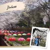 Jinhae