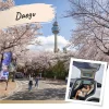 Daegu