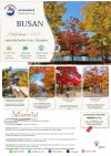 Busan Autumn Tour Private