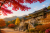 Gyeongju Autumn Tour ทัวร์คยองจู ใบไม้เปลี่ยนสี พร้อมรถเช่า VIP