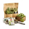 Home Garden Veggie Kit