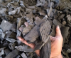Leading Supplier HardWood Charcoal adyadeltapersada.com