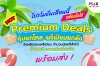 Hot Premium Deals คุ้มยกโหล พรีเมียมยกลัง พร้อม Hot Premium Deals คุ้มยกโหล พรีเมียมยกลัง พร้อม