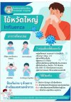 ไข้หวัดใหญ่