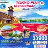 ทัวร์ญี่ปุ่น โตเกียว ฟูจิ Hitachi Seaside Park คาวาโกเอะ (อิสระ 1 วัน) 6 วัน (บิน XJ)