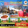ทัวร์อังกฤษ ปีใหม่ 2569