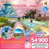 ทัวร์ญี่ปุ่น ซากุระ-โตเกียว-Kamakura-Hakone-Kawaguchiko-Oshino Hakkai-Shizuoka-Nagoya-เกียวโต-(อิสระโอซาก้า 1 วัน)-6 วัน