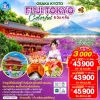 ทัวร์ฟูจิ เกียวโต โตเกียว Mimurotoji Temple Shimizu Fish Market 6 วัน Bigfoot Funtrip