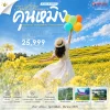 ทัวร์คุนหมิง ทุ่งดอกมัสตาร์ด Luoping Canola Flower Fields