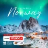 ทัวร์นอร์เวย์ แสงเหนือ Lofoten หมู่บ้านชาวประมง