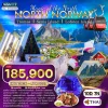 ทัวร์ Lofoten นอร์เวย์ Senja ล่าแสงเหนือ Svolvaer - Reine - Hamnoy - Narvik 10 วัน (บิน การบินไทย)