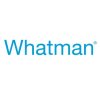 Whatman