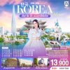 ทัวร์เกาหลี KOREA VIBES ช้อป ชิม ชิล ครบทุกฟีลในโซล 5 วัน 3 คืน  บินFD เดินทาง ก.ค.-พ.ย. 69 ราคาเริ่ม 13,900.- บาท