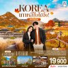 ทัวร์เกาหลี เกาหลีใบไม้จึ้ง โซล - โพชอน 5วัน 3 คืน บินFD เดินทาง พ.ย.-ธ.ค. 69 ราคาเริ่ม 19,900.- บาท