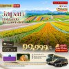 ทัวร์ญี่ปุ่น HOKKAIDO อาซาฮิกาว่า โทมิตะ โทยะ ซัปโปโร ชม 2 สวนดอกไม้อลังการ 6 วัน 4 คืน บินTG เดินทาง ก.ค. 69 ราคา 99,999 บาท
