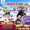 ทัวร์ญี่ปุ่น ฮอกไกโด HOKKAIDO โทยะ โอตารุ ซัปโปโร 5 วัน 3 คืน บินXJ เดินทาง ธ.ค.67-มี.ค.68  ราคาเริ่ม 36,999 บาท