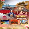 ทัวร์ญี่ปุ่น โตเกียว TOKYO อิบารากิ นิกโก้ ซากามิโกะ 5 วัน 3 คืน บินXJ เดินทาง พ.ย. 69 ราคาเริ่ม 36,999 บาท