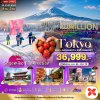 ทัวร์ญี่ปุ่น โตเกียว TOKYO FUJI SAGAMIKO ILLUMINATION WINTER  5 วัน 3 คืน  บินXJ เดินทาง ธ.ค.69-มี.ค.70 ราคาเริ่ม   36,999 บาท