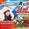 ทัวร์จีน ฉงชิ่ง เฉิงตู เขาสี่ดรุณี 6 วัน 5 คืน  บินEU เดินทาง ต.ค. 69 ราคาเริ่ม 24,999 บาท