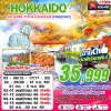 ทัวร์ญี่ปุ่น ฮอกไกโด HOKKAIDO AUTUMN TOYA ใบไม้หลากสี (FREEDAY) 6D4N บินXJ เดินทาง ตุลาคม 69 ราคาเริ่มต้น 35,999 บาท