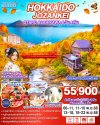 ทัวร์ญี่ปุ่น ฮอกไกโด HOKKAIDO JOZANKEI OTARU ASAHIKAWA 6D 4N บินTG เดินทาง พฤศจิกายน 68 ราคาเริ่ม  55,900 บาท