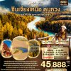 ทัวร์จีน ซินเจียงเหนือ ตุนหวง   อุรุมชี คานาสือ ภูเขาทะเลทรายหมิงซาน 8วัน 7คืน บินVZ เดินทาง ส.ค.-ก.ย. 69 ราคาเริ่ม 45,888 บาท