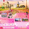ทัวร์ยุโรป Tullip Keukenhof Benelux เยอรมัน เนเธอร์แลนด์ เบลเยียม ฝรั่งเศส 8 วัน 5 คืน บินEK เดินทาง มี.ค.-พ.ค. 69  ราคาเริ่ม  75,888 บาท