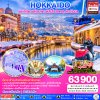 ทัวร์ญี่ปุ่น ฮอกไกโด HOKKAIDO HAKODATE SNOW WINTER 6D 4N บินTG เดินทาง มกราคม-มีนาคม 70 ราคาเริ่ม 63,900 บาท