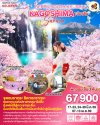 ทัวร์ญี่ปุ่น BEPPU SOUTH KYUSHU KAGOSHIMA SAKURA 7D 5N บินTG เดินทาง มีนาคม – เมษายน 69 ราคาเริ่ม 67,900  บาท