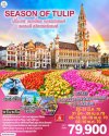 ทัวร์ยุโรป ฝรั่งเศส – เบลเยี่ยม – เนเธอร์แลนด์  เยอรมนี – สวิตเซอร์แลนด์ 9 วัน 6 คืน บินEK เดินทาง มี.ค.-พ.ค. 70 ราคาเริ่ม 79,900 บาท