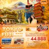 ทัวร์ญี่ปุ่น โตเกียว TOKYO FUJI NIKKO IBARAKI 6 วัน 4 คืน บินTG เดินทาง ต.ค.-ธ.ค. 69 ราคาเริ่ม 44,888 บาท