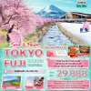 ทัวร์ญี่ปุ่น  TOKYO FUJI KAWAZU SAKURA 5วัน 3คืน บินXJ  เดินทาง ก.พ.-มี.ค. 69 ราคาเริ่ม 29,888 บาท