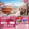 ทัวร์ญี่ปุ่น โตเกียว TOKYO FUJI Mt.Takao Pink Season 5วัน 3คืน บินXJ เดินทาง มีนาคม 69 ราคาเริ่ม 35,888 บาท