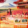 ทัวร์ญี่ปุ่น โตเกียว  TOKYO FUJI NIKO IBARAKI 5วัน 3คืน บินXJ เดินทาง  ก.ย.-ต.ค. 68 ราคาเริ่ม 28,888 บาท