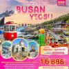 ทัวร์เกาหลี ปูซาน Fall in love BUSAN YEOSU 5วัน3คืน  บินBX  เดินทาง ต.ค 67 ราคาเริ่มเพียง 19,888 บาท