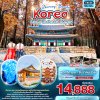 ทัวร์เกาหลี โซล Journey Beauty Korea Seoul Incheon Suwon 5วัน 3คืน บินBX เดินทาง พ.ย.-ธ.ค. 67 ราคาเริ่ม 14,888 บาท