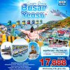 ทัวร์เกาหลี ปูซาน Season Change BUSAN YEOSU 5วัน3คืน บินBX เดินทาง พ.ย.-ธ.ค. 67 ราคาเริ่ม 17,888 บาท