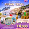 ทัวร์เกาหลี ปูซาน Sky & Sea ปูซานดีต่อใจ BUSAN YEOSU 5วัน 3คืน บินBX เดินทาง ส.ค-ต.ค. 68 ราคาเริ่ม 14,888 บาท
