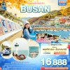 ทัวร์เกาหลี ปูซาน BUSAN 5วัน 3คืน บินBX เดินทาง พ.ย.-ธ.ค. 68 ราคาเริ่ม 16,888 บาท