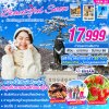 ทัวร์เกาหลี โซล  Beautiful Snow 5วัน3คืน บินBX วันเดินทาง ม.ค. - มี.ค 68 เริ่มต้น 17,999.- บาท