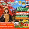 ทัวร์เกาหลี MY AUTUMN 5วัน3คืน บินBX เดินทาง  ตุลาคม - พฤศจิกายน 68 ราคาเริ่ม 18,999 บาท