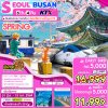 ทัวร์เกาหลี โซล ปูซาน KTX SEOUL BUSAN 6D4N SPRING เดินทาง มี.ค.-ก.ค. 68 ราคาเริ่ม 11,999 บาท