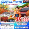 ทัวร์ญี่ปุ่น โตเกียว  NAGOYA-TOKYO AUTUMN ใบไม้แดงใกล้ฉัน (เที่ยวเต็ม) 5D3N บินXJ เดินทาง พ.ย.-ธ.ค. 69 ราคาเริ่มต้น 36,999 บาท