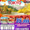 ทัวร์ญี่ปุ่น โตเกียว  TOKYO AUTUMN KAMIKOJI (เที่ยวเต็ม) 5D3N บินXJ เดินทาง ต.ค. 69 ราคาเพียง 35,999 บาท