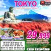 ทัวร์ญี่ปุ่น โตเกียว TOKYO AUTUMN โคเชียใบไม้แดง (ฟรีเดย์) 5D3N บินXJ ราคาเริ่มต้น 29,999 บาท