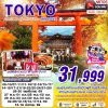 ทัวร์ญี่ปุ่น โตเกียว  TOKYO AUTUMN อุโมงค์ใบไม้แดง (FREEDAY) 5D3N บินXJ  เดินทาง พ.ย.-ธ.ค. 69 ราคาเริ่มต้น 31,999 บาท